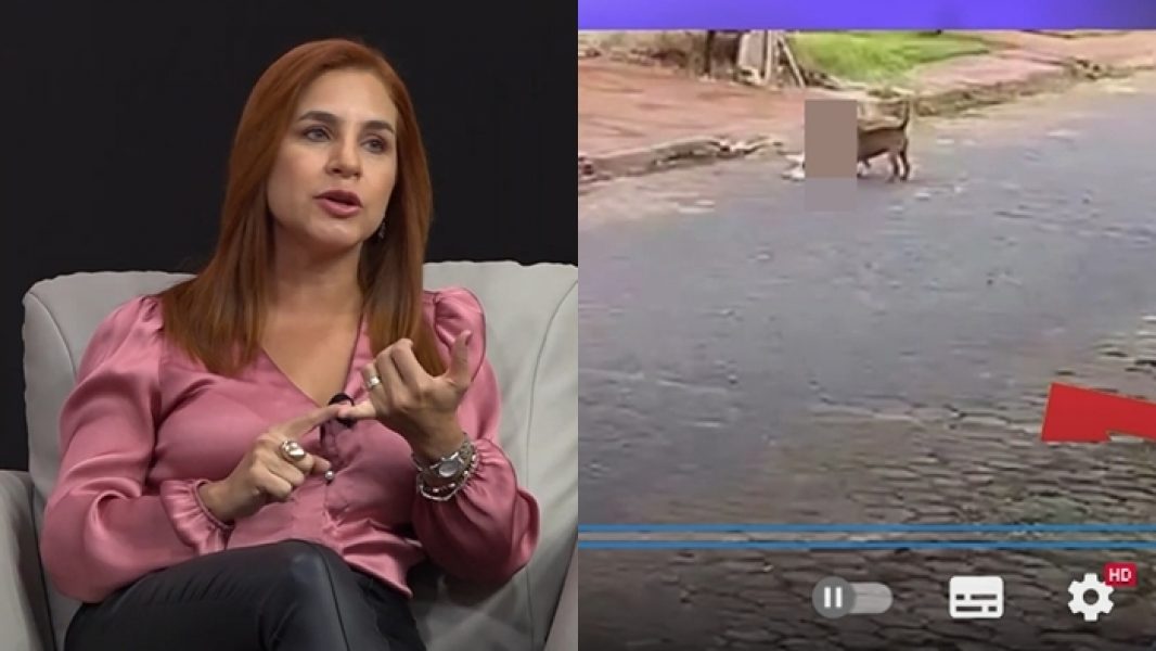 carolinaarevalolatelezonafranca