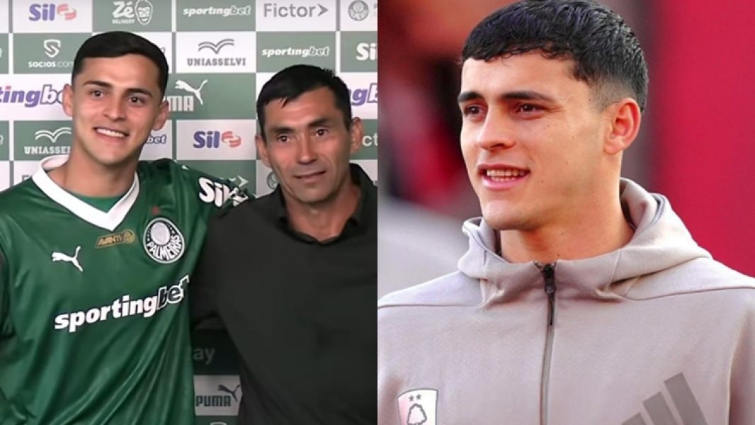 ramonsosaysupapápalmeiras